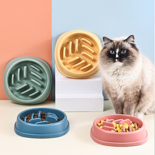 Cat Slow Feeder Bowl