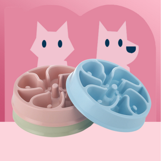 Slow Feeder Bowl For Cats and Dogs