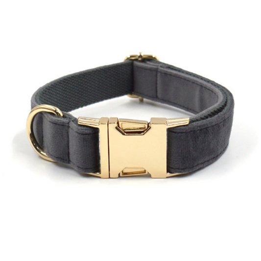 Personalized Dog Collars