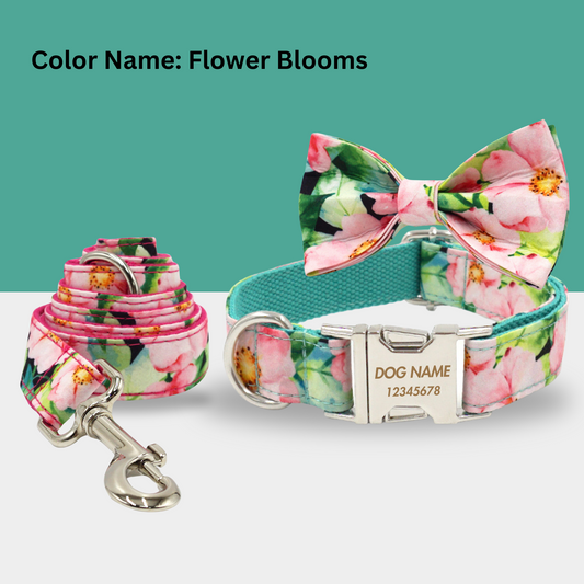 Multi Color Personalized Dog Collars
