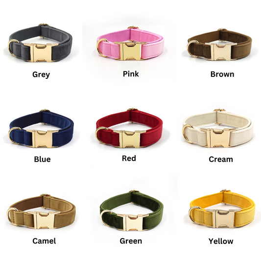 Personalized Dog Collars