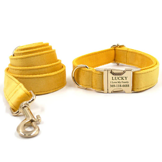 Personalized Dog Collars