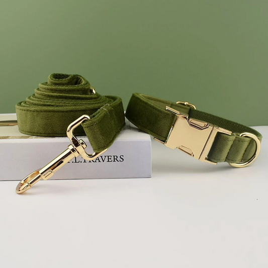 Personalized Dog Collars