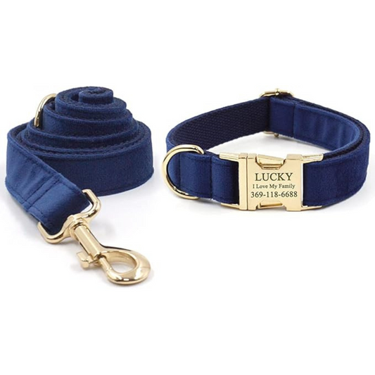 Personalized Dog Collars