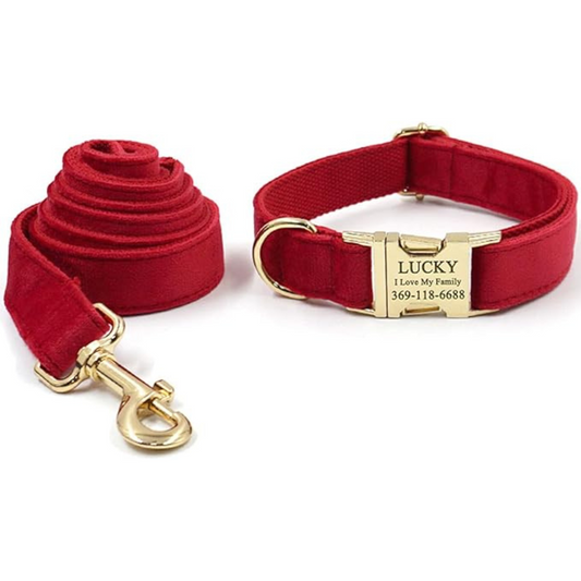 Personalized Dog Collars