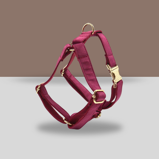 Personalized Dog Harness