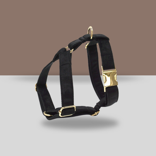 Personalized Dog Harness