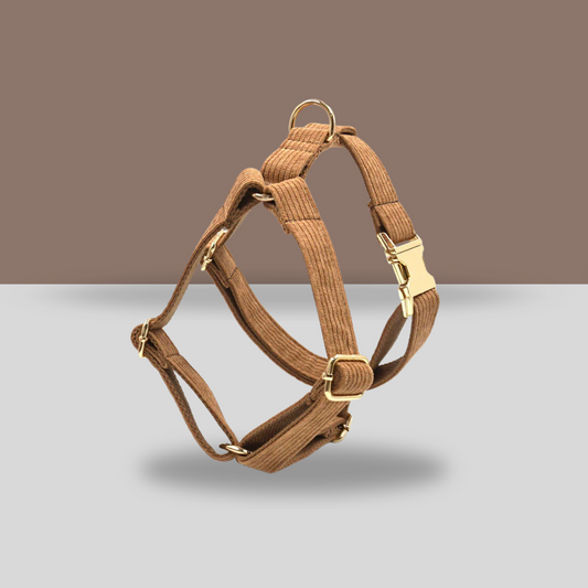 Personalized Dog Harness