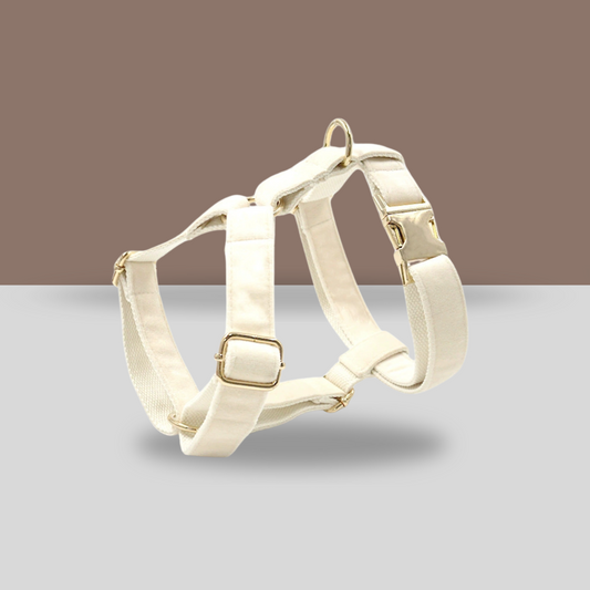 Personalized Dog Harness