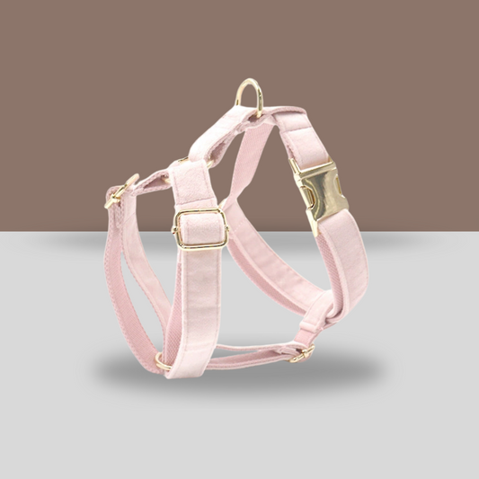 Personalized Dog Harness