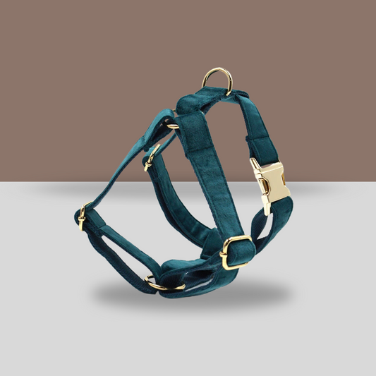 Personalized Dog Harness