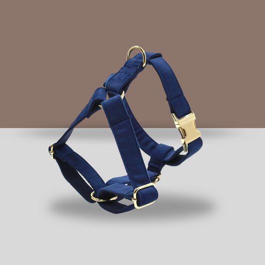 Personalized Dog Harness