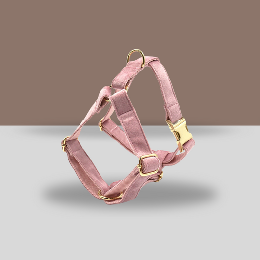 Personalized Dog Harness