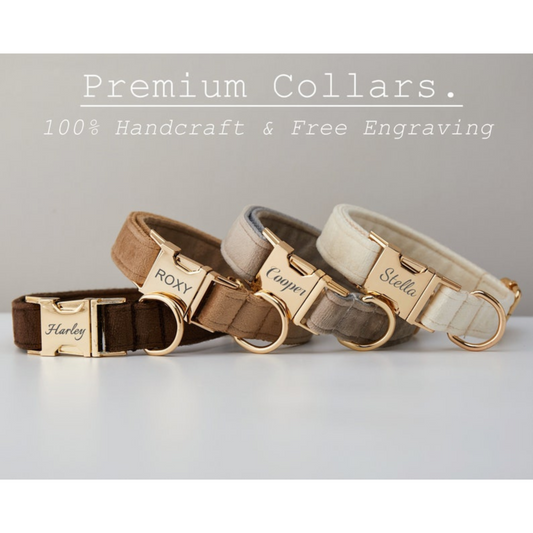 Personalized Dog Collars