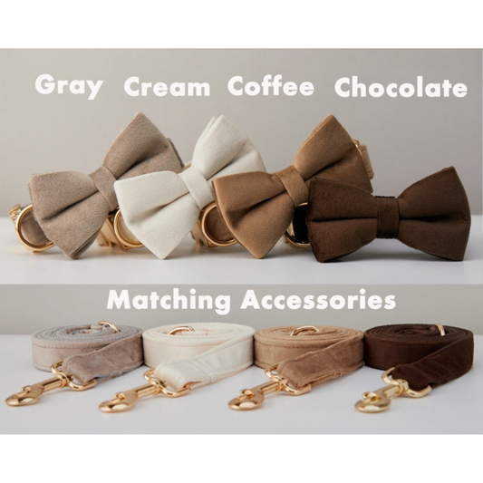 Personalized Dog Collars