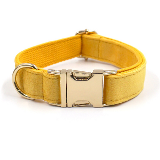 Personalized Dog Collars