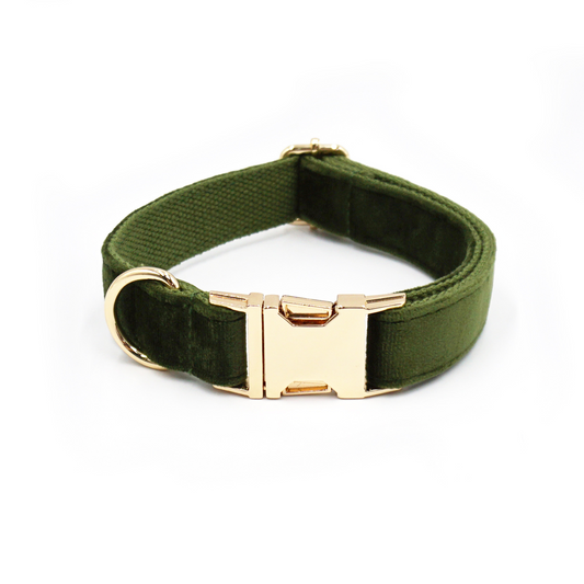 Personalized Dog Collars