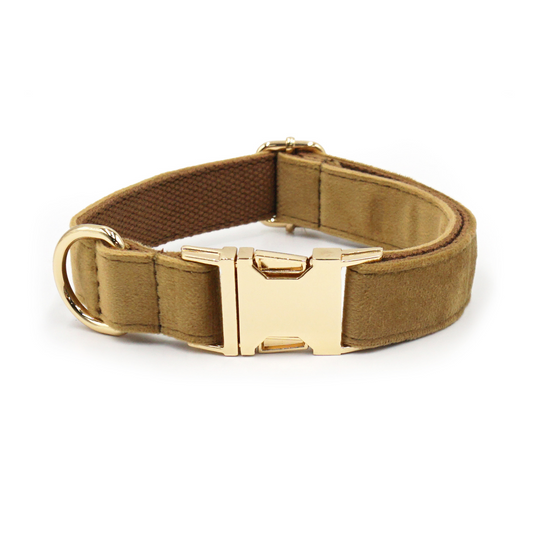 Personalized Dog Collars