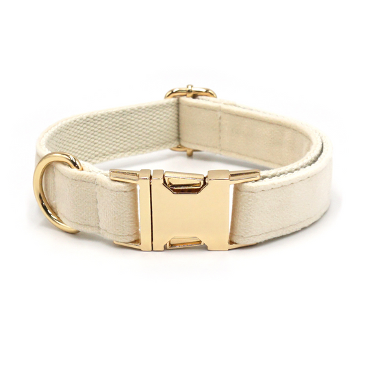 Personalized Dog Collars