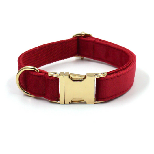 Personalized Dog Collars