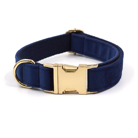 Personalized Dog Collars