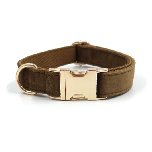 Personalized Dog Collars