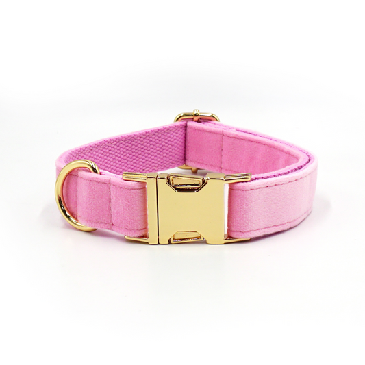 Personalized Dog Collars