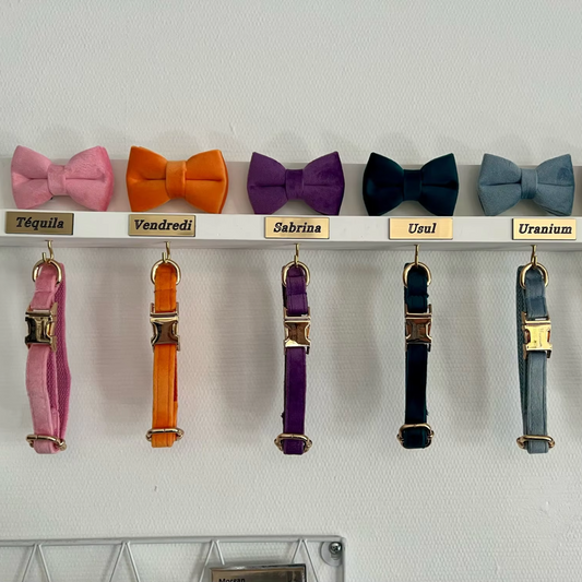 Personalized Dog Collars