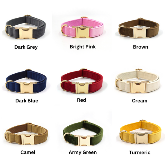 Personalized Dog Collars