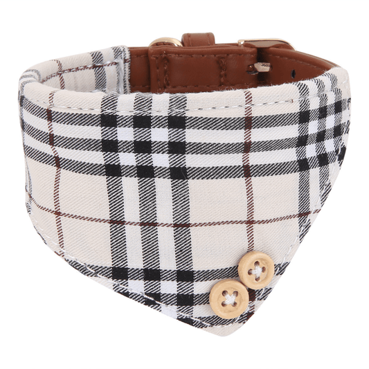 Stylish Pet Collar