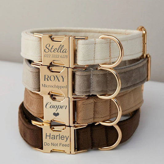 Personalized Dog Collars