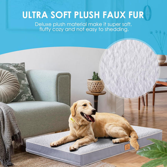 Orthopedic Memory Foam Dog Bed for Large Dogs